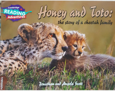 CAMBRIDGE READING ADVENTURES: 1 PATHFINDERS: HONEY AND TOTO; THE STORY OF A CHEETAH FAMILY - Paramount Books   