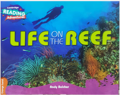 CAMBRIDGE READING ADVENTURES: ORANGE BAND: LIFE ON THE REEF - Paramount Books   